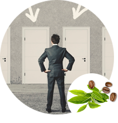 Right Franchise Opportunity